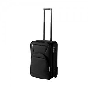 21 Inch Expandable Carry-On