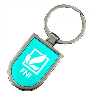 FNI 3D keychain