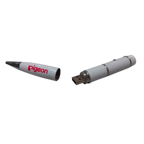 Pigeon USB Laser Pen 4