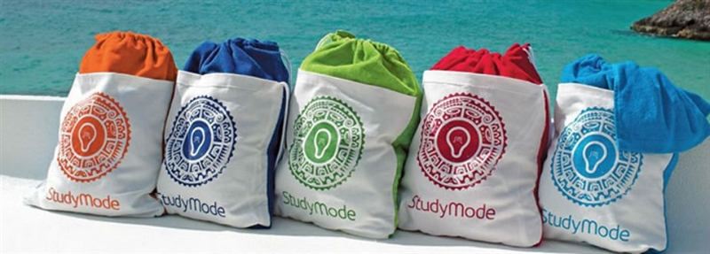 Beach Towel with Tote