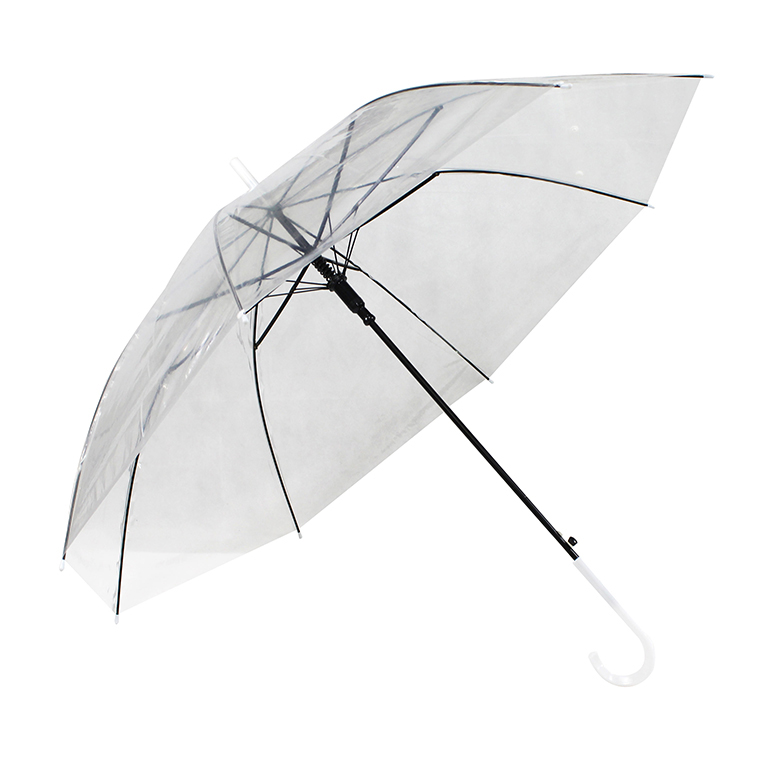 HTB1qIycChSYBuNjSspjq6x73VXaB